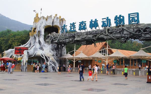 Dalian Forest Zoo - Attractions - WTCF-Better City Life through ...