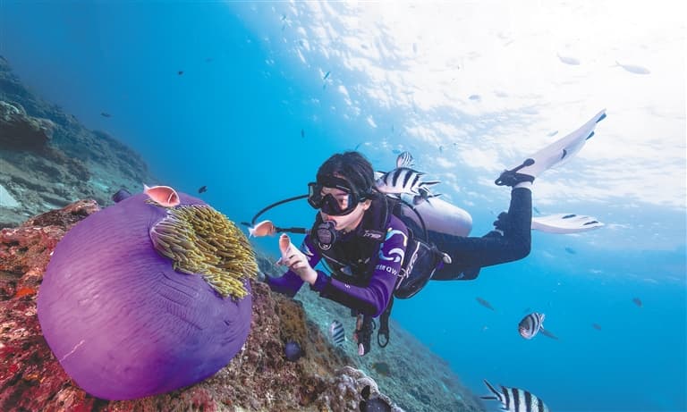 Sanya's Wuzhizhou Island: Planting an "underwater rainforest ...