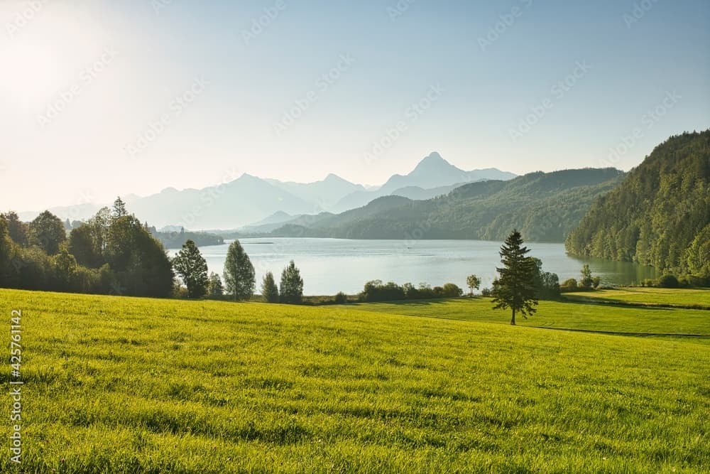 a large green field with a lake and mountains in the background ...