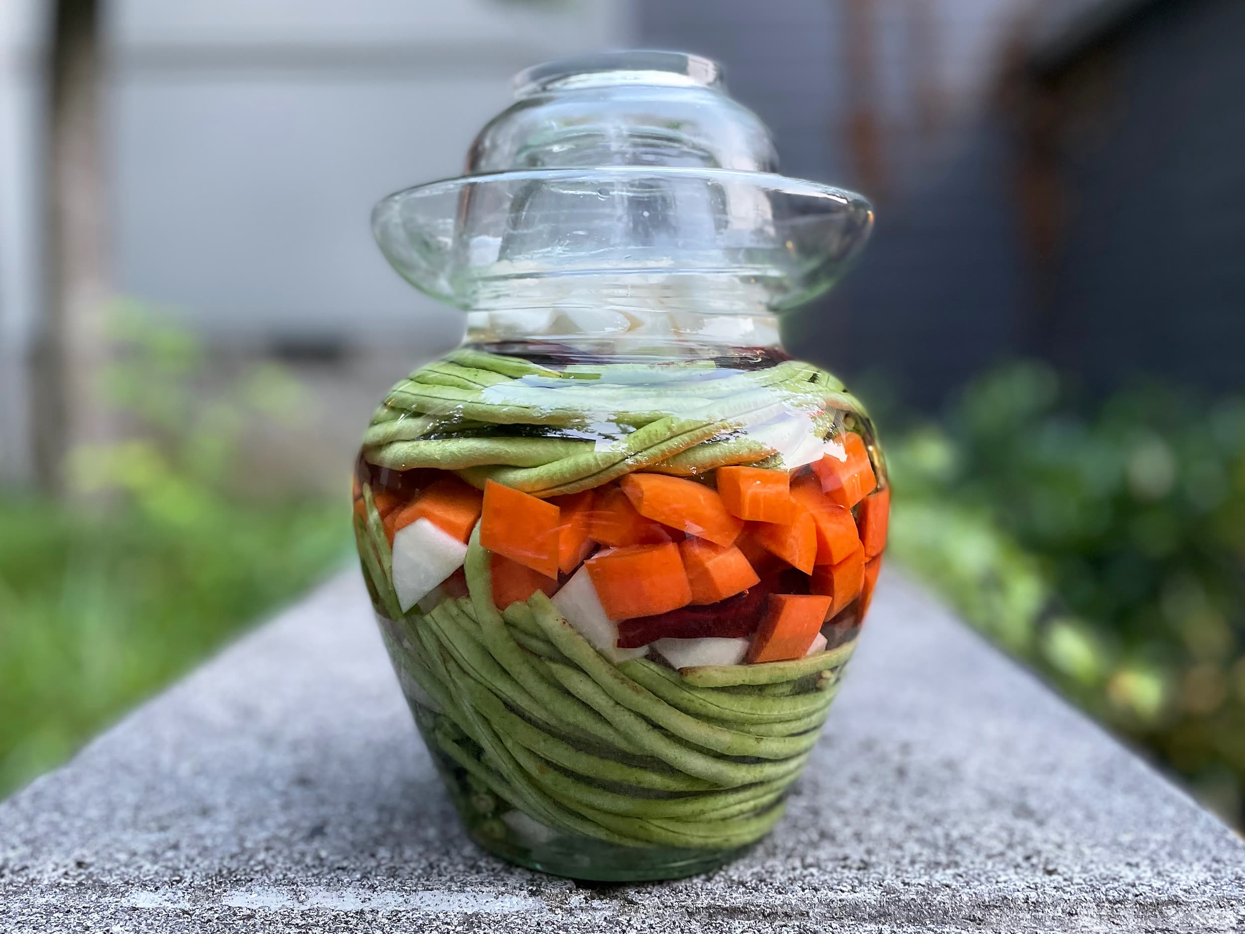 Sichuan Lacto-Fermented Pickles (Paocai, 泡菜): Starting Your First Batch