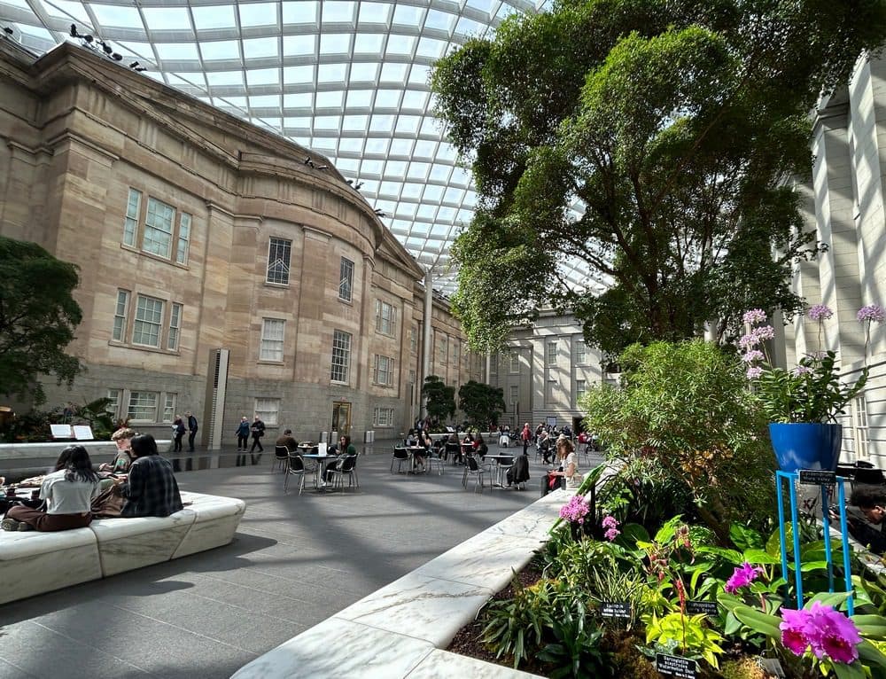 Orchids Belong in this Museum Courtyard - GardenRant