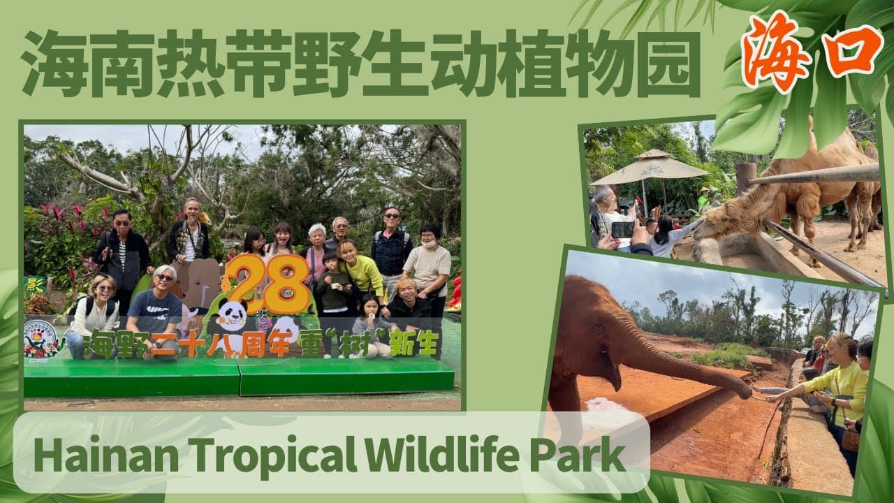 非常有趣 海南热带野生动植物园 Fun @ Hainan Tropical Wildlife Park | #海口｜#Shinykoh  vlog｜Singapore 新加坡 | 2024_12