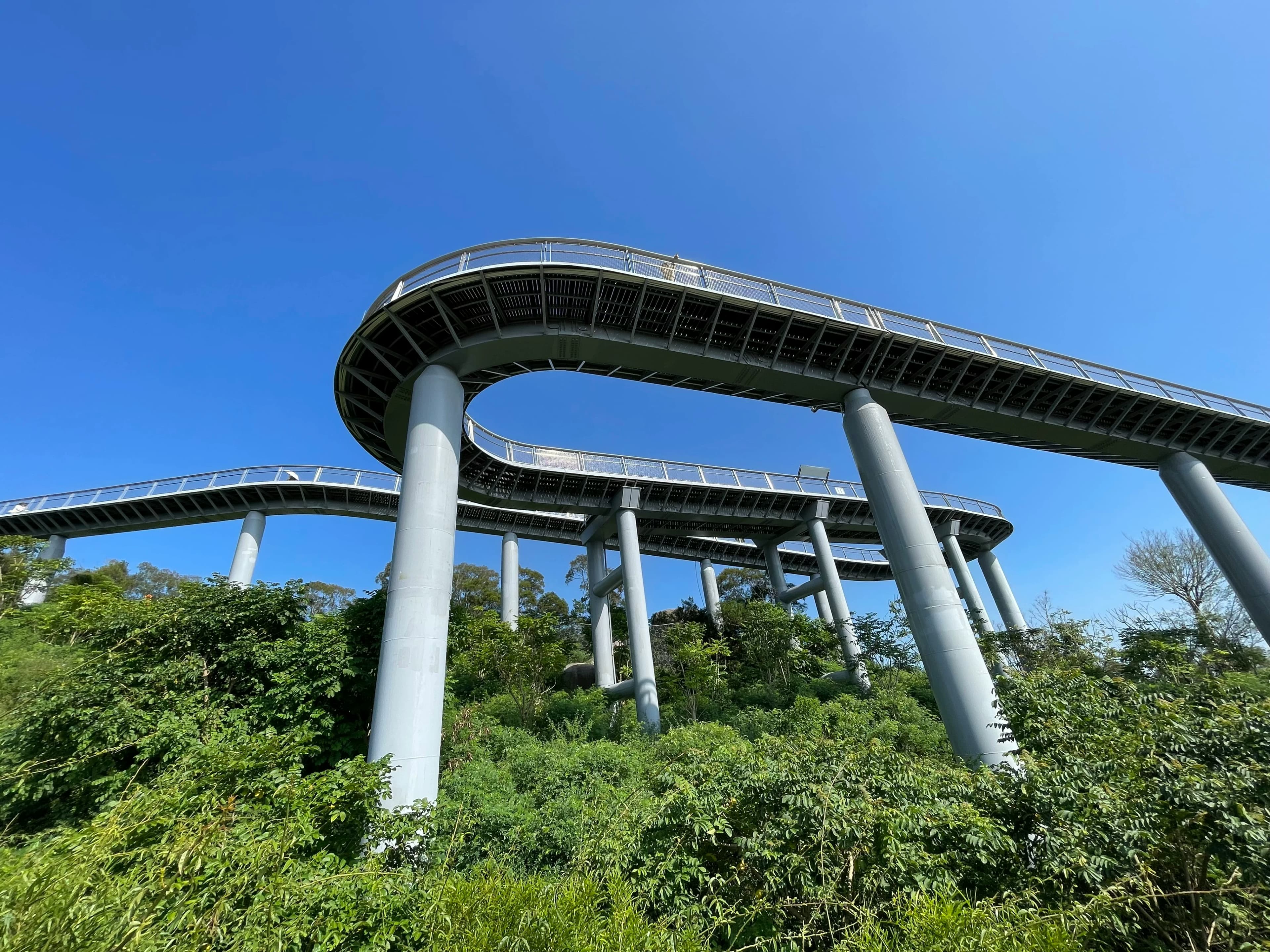 7-Day Xiamen Family Travel & Food Guide: Beaches, Culture, and Budget-Friendly Feasts