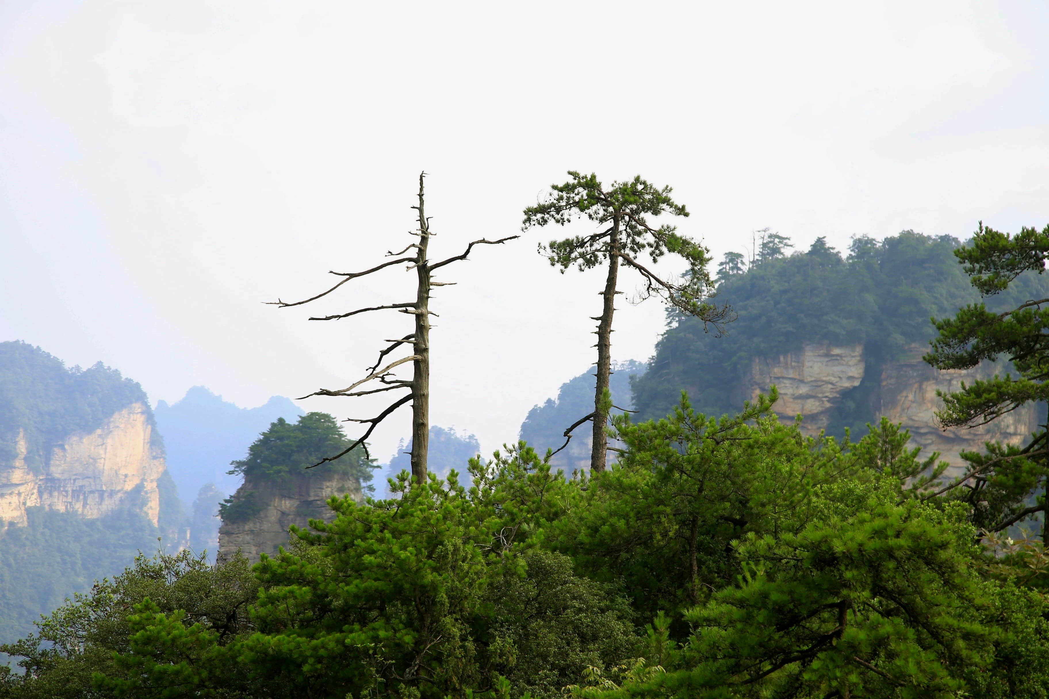 Ultimate 7-Day Budget Hiking Guide for Couples in Zhangjiajie