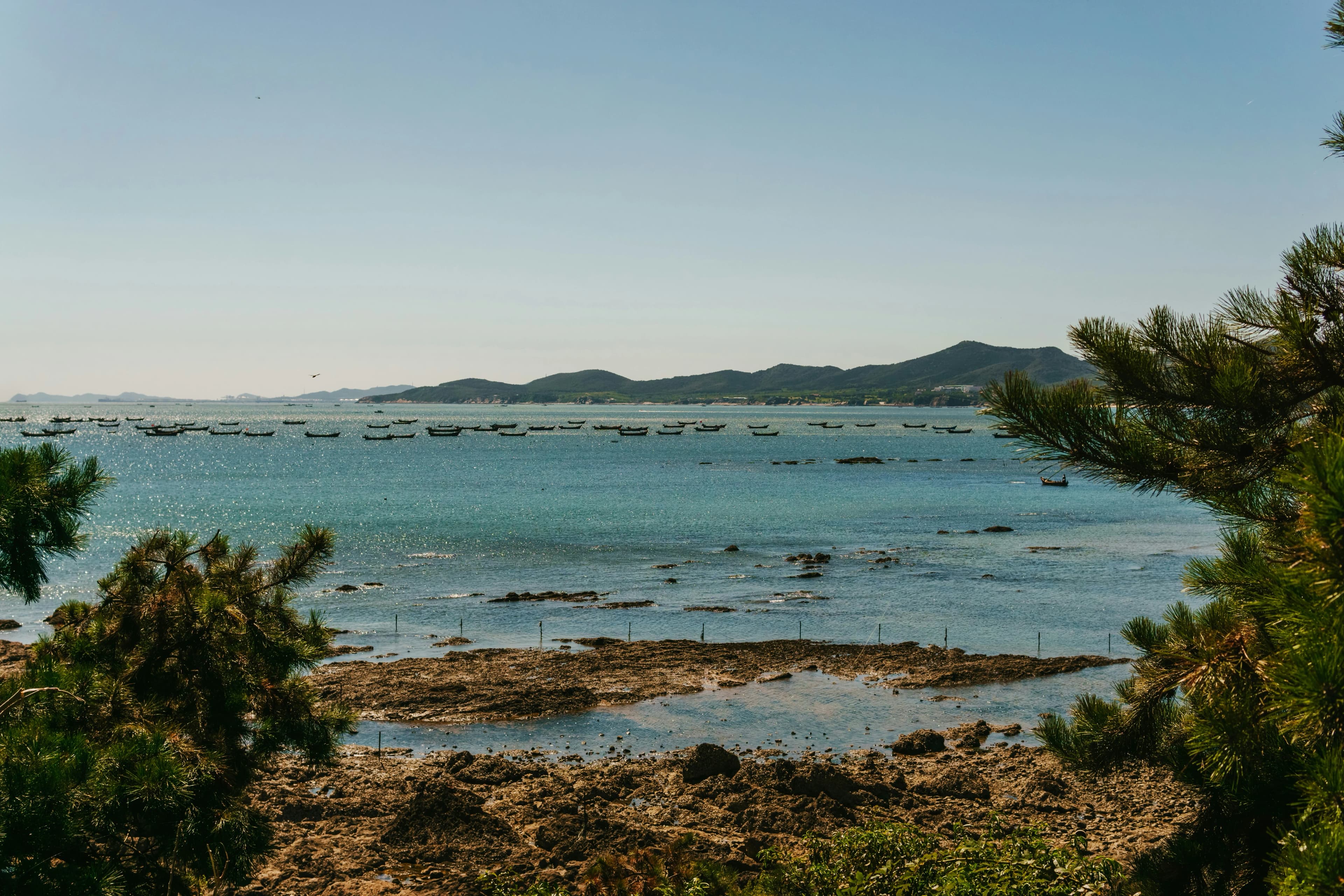 Discover Dalian: A 5-Day Luxury Getaway for Couples & Food Lovers