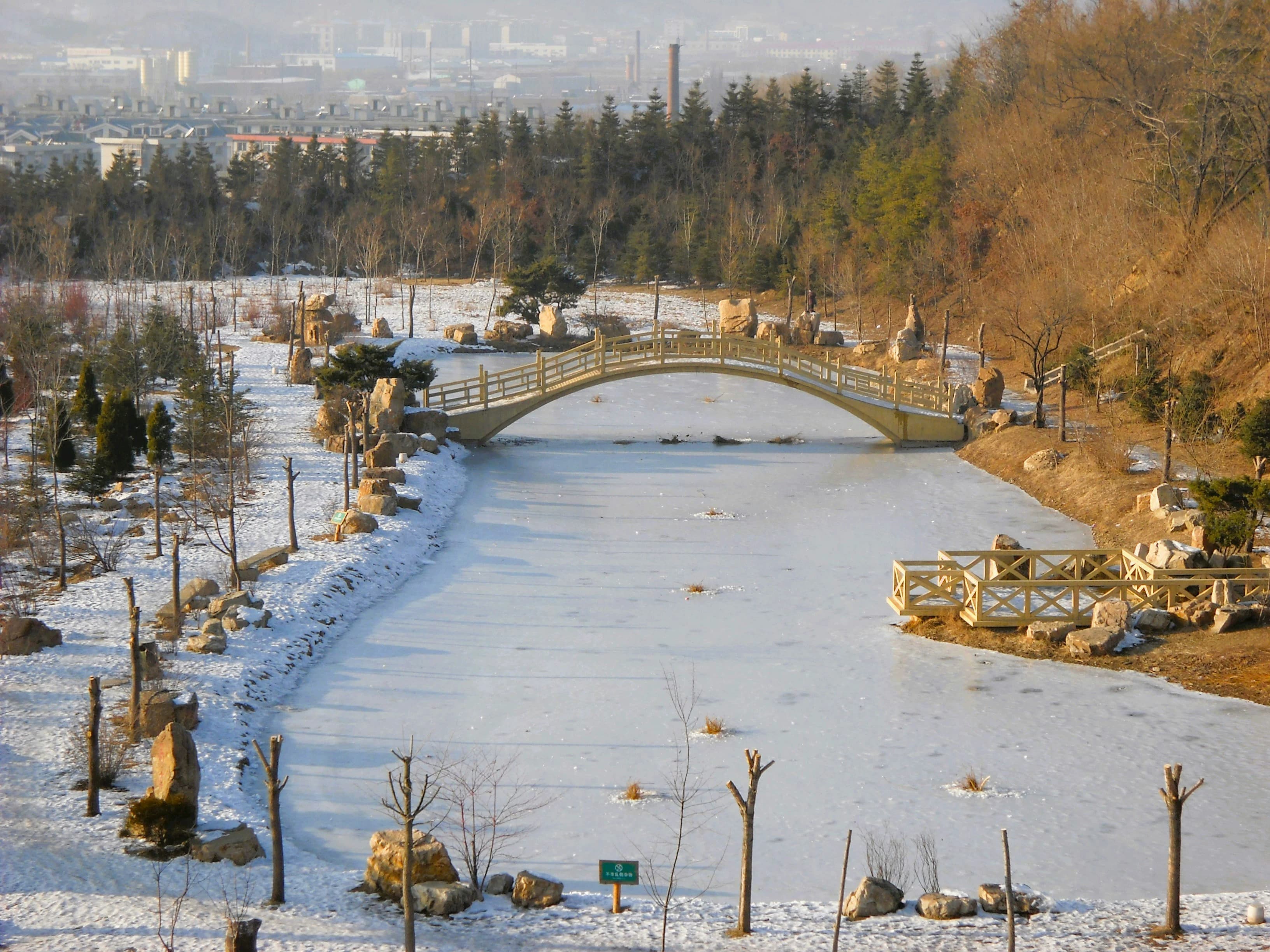 7 Days in Harbin: Solo Budget Travel & Food Guide