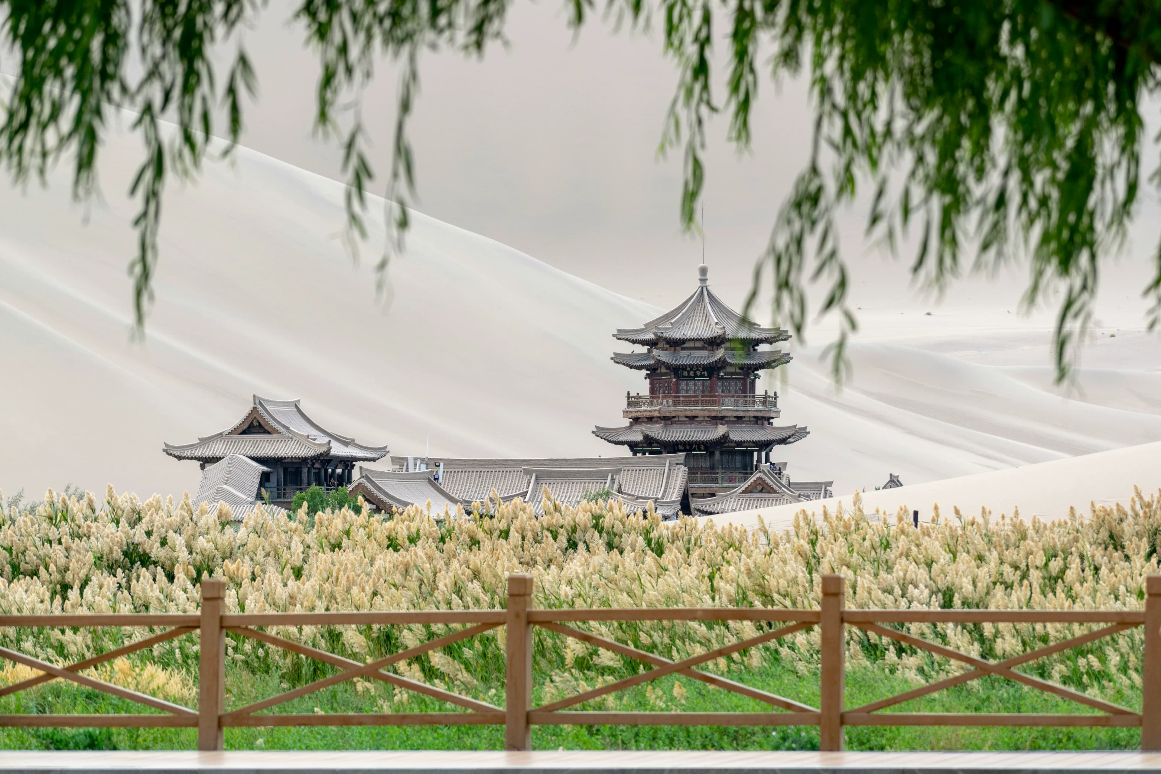 3-Day Solo Travel Guide to Dunhuang: Silk Road Wonders on a Budget