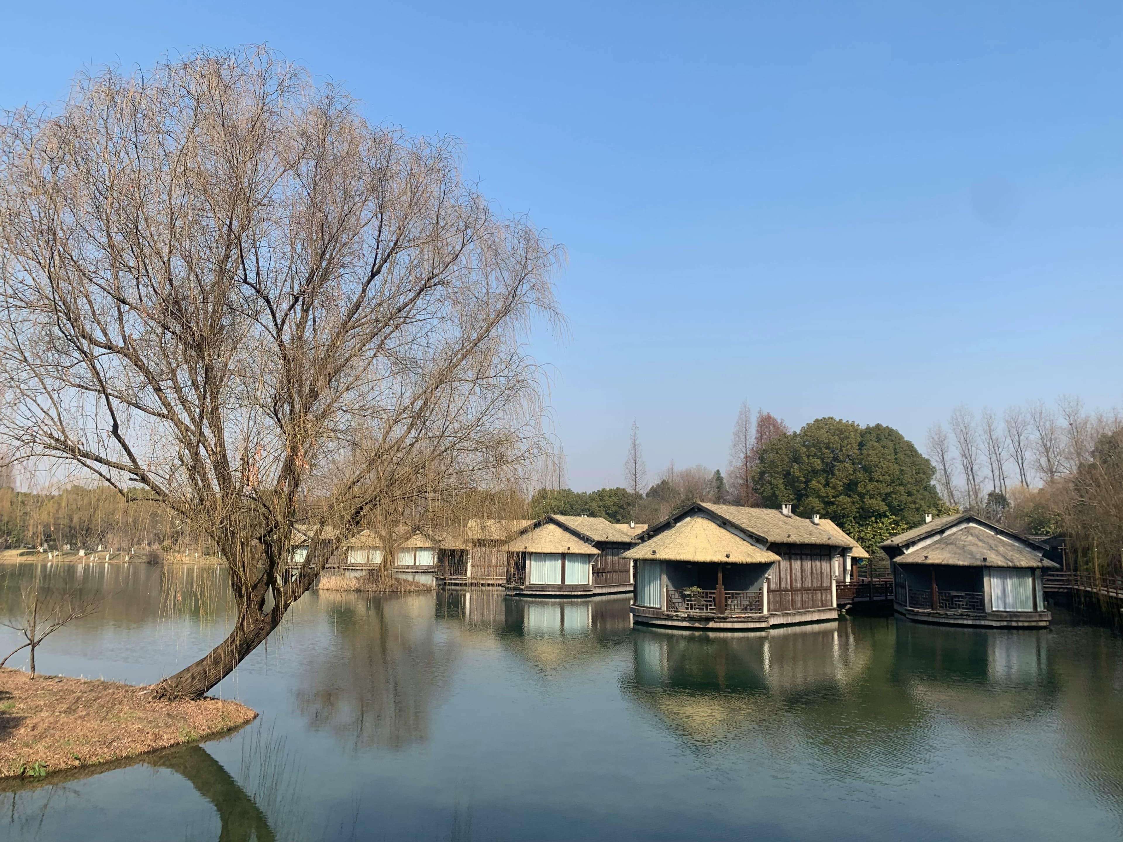 Ultimate 7-Day Solo Travel Guide to Wuzhen: Budget-Friendly Water Town Adventures