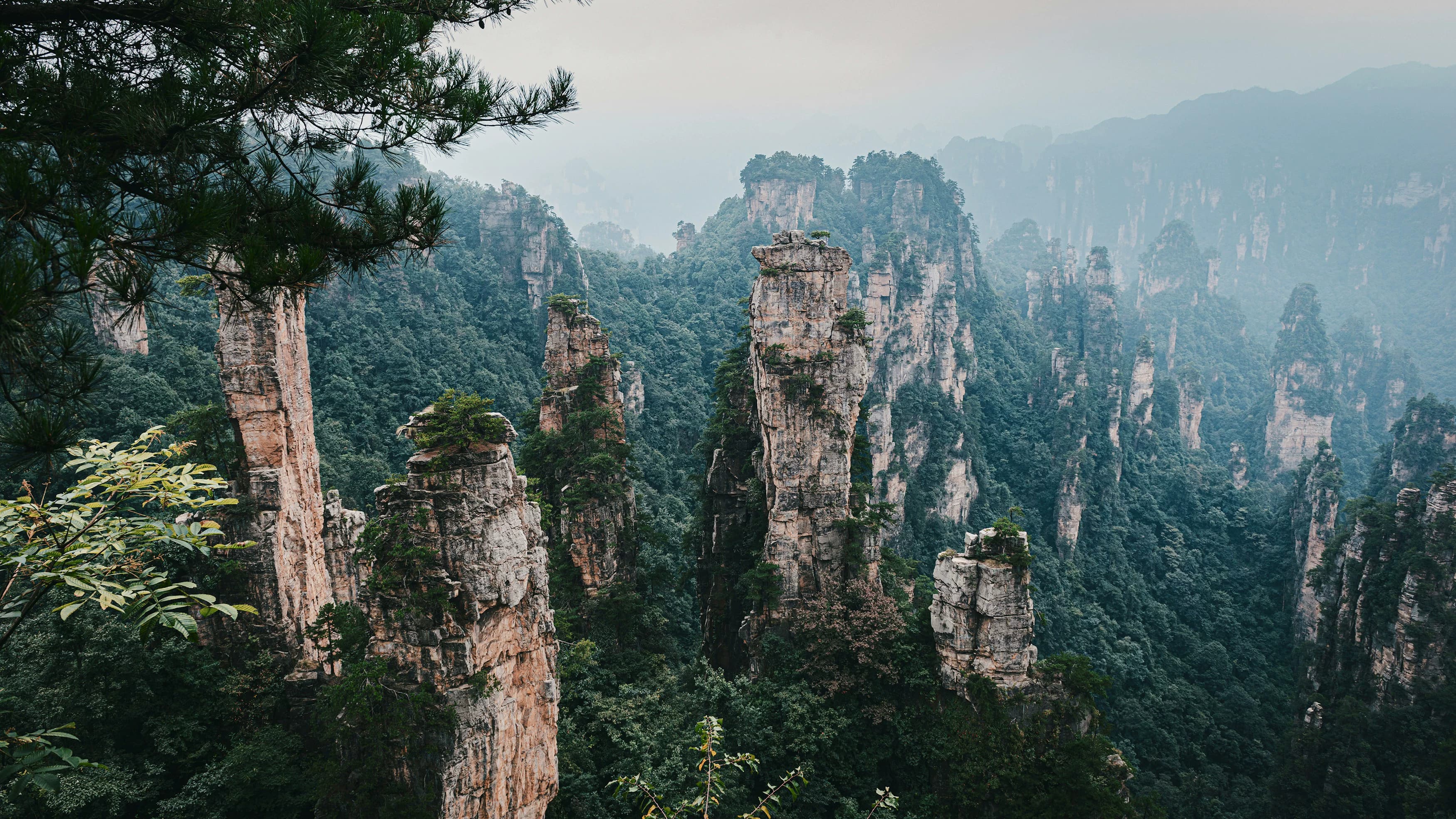 7-Day Zhangjiajie Solo Travel Guide: Hiking & Hidden Gems for Mid-Range Budgets