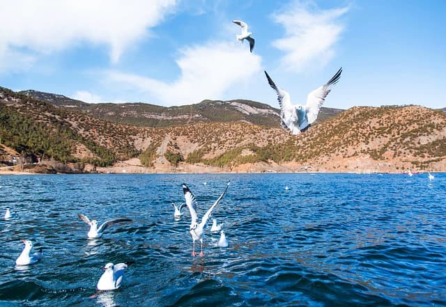 Budget-Friendly 5-Day Nature Adventure in Lijiang for Solo Travelers