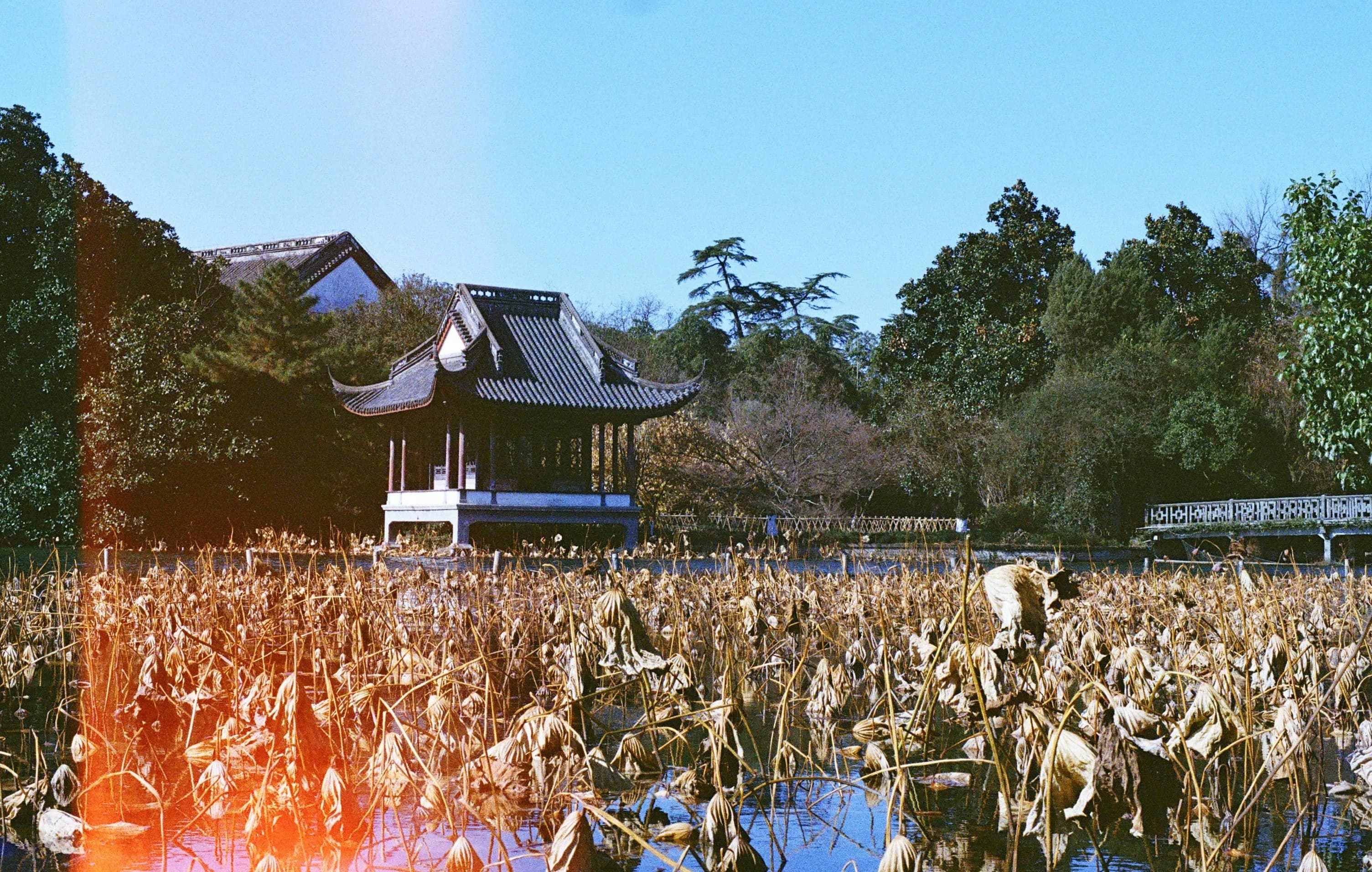 3 Days in Hangzhou: Romantic City Exploration for Couples on a Budget
