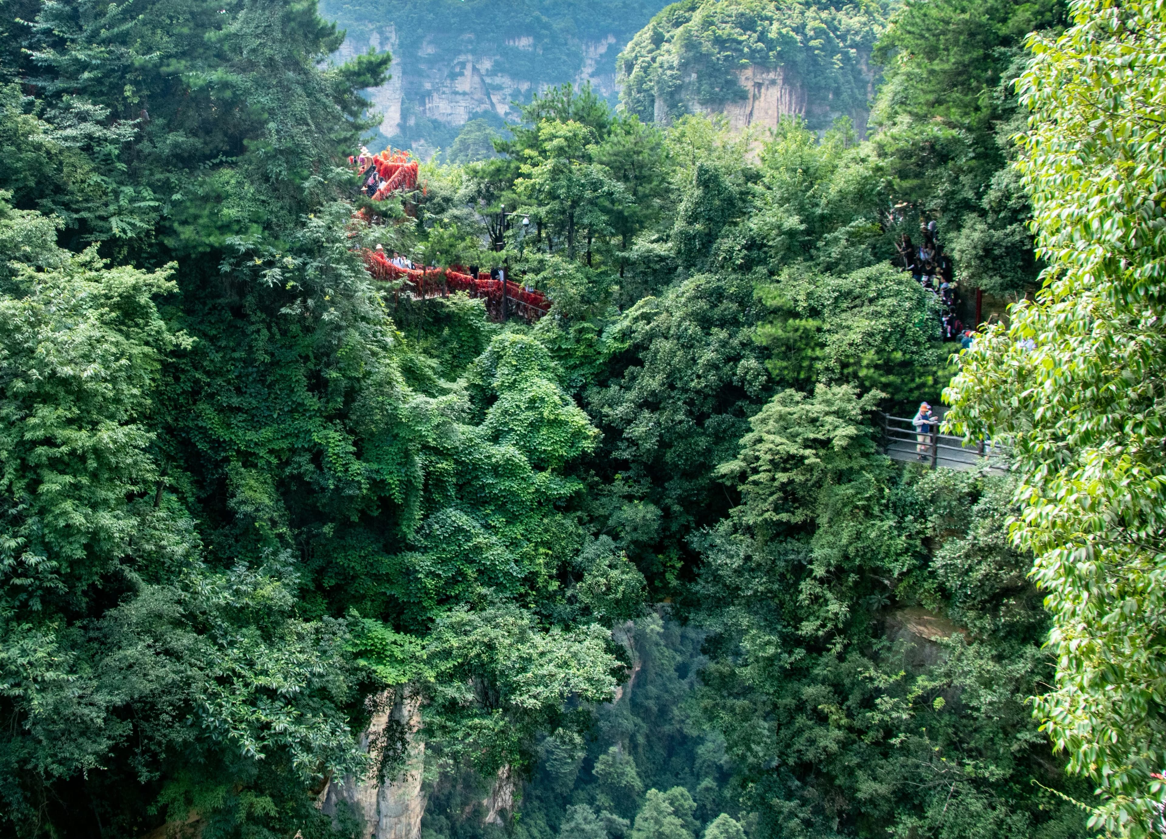 3 Days in Zhangjiajie: Family-Friendly Hiking & Nature Adventure