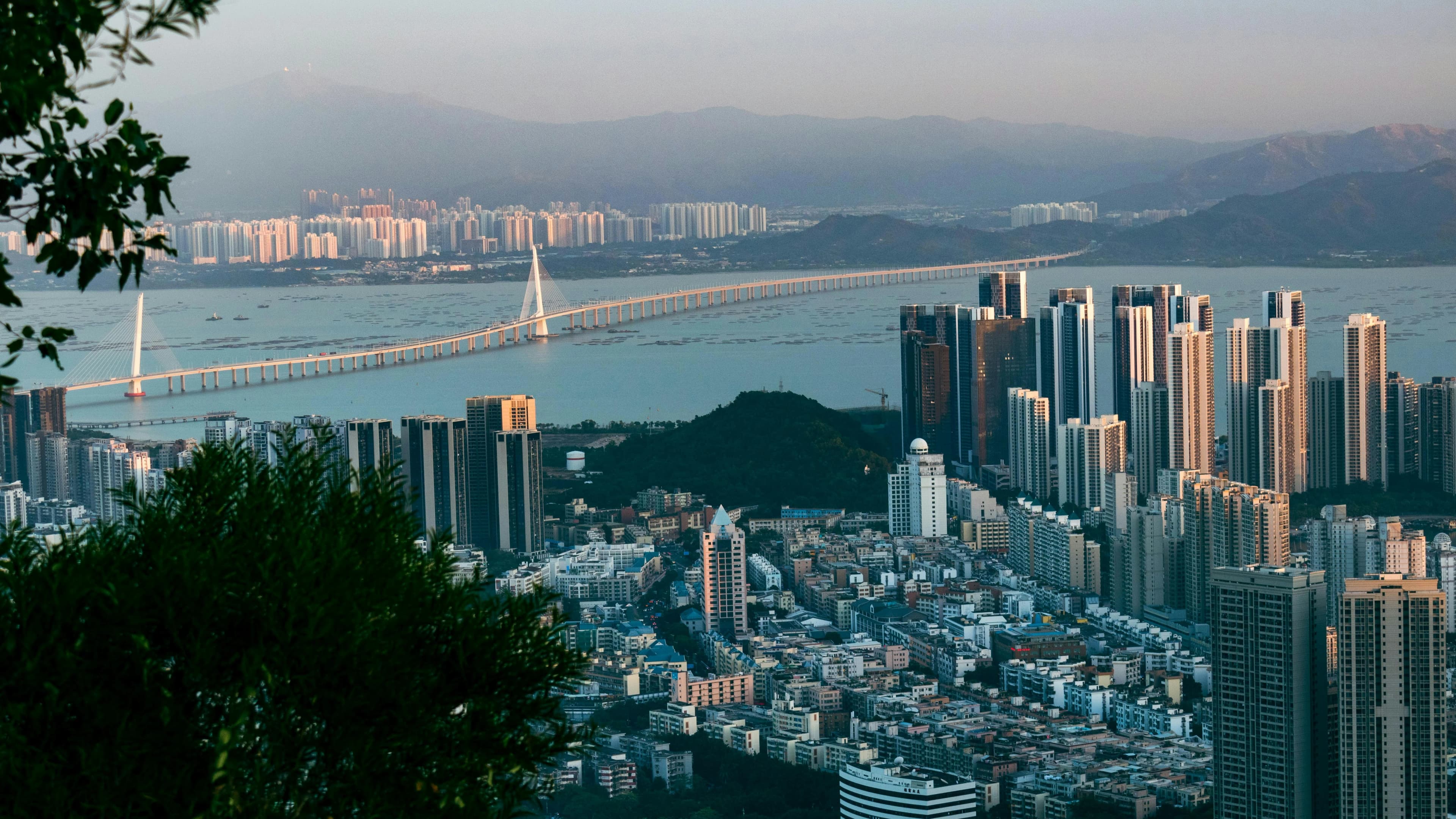 Ultimate 5-Day Family Food Travel Guide to Shenzhen