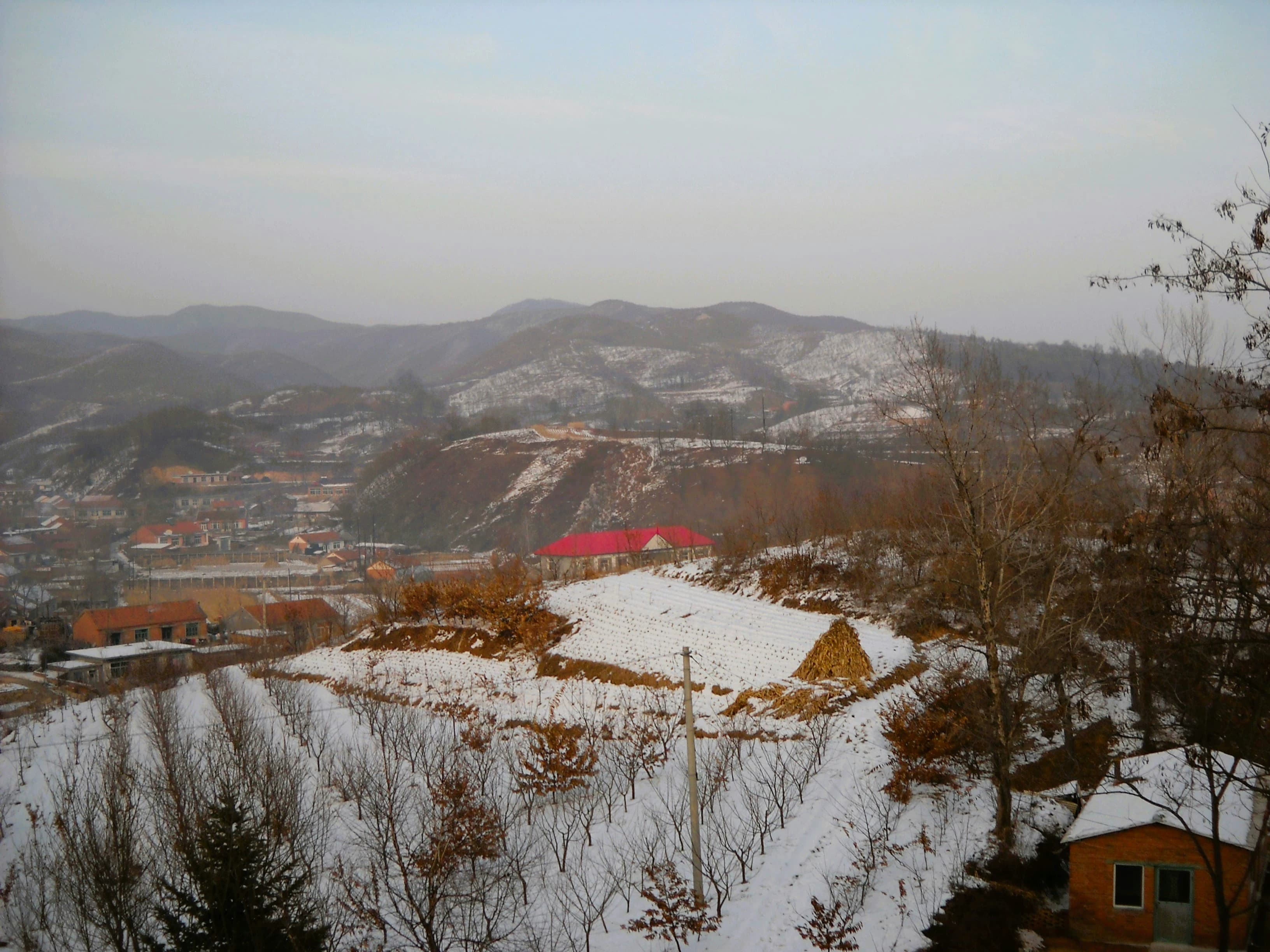 3-Day Budget Travel Guide: Exploring Harbin Solo