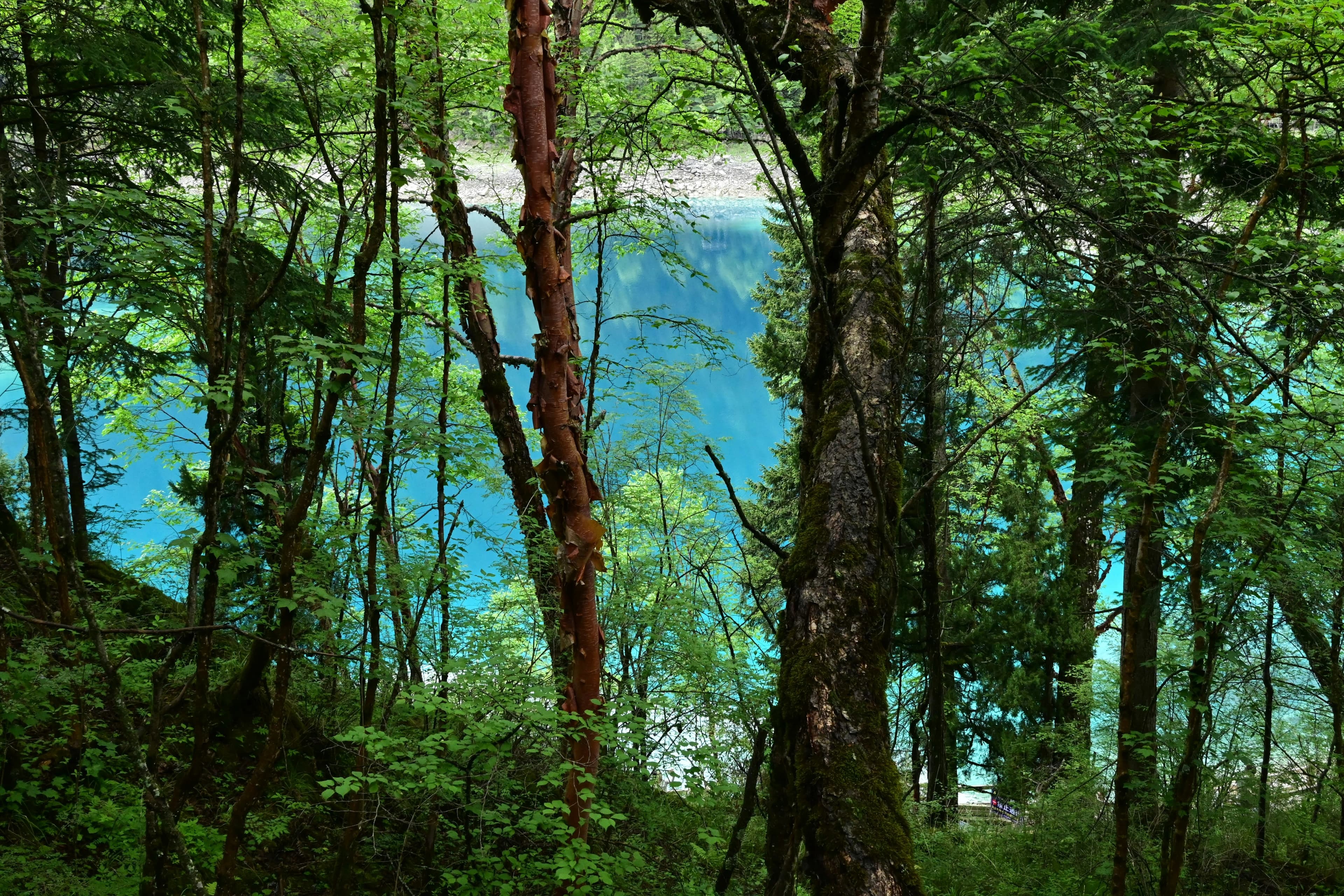 Jiuzhaigou 3-Day Luxury Travel Guide for Couples