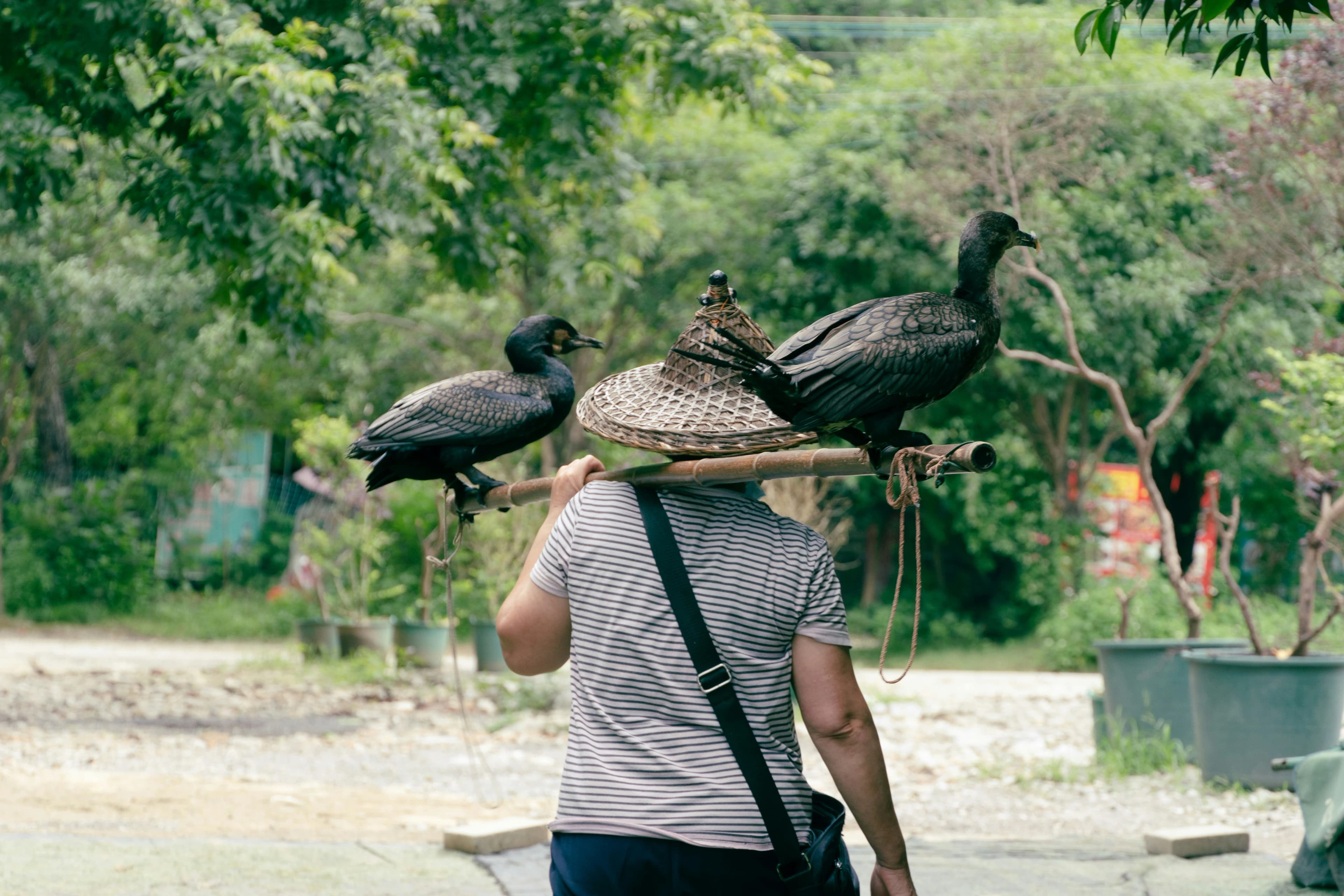 5-Day Guilin Family Travel Guide: Mountains, Rivers & Local Flavors