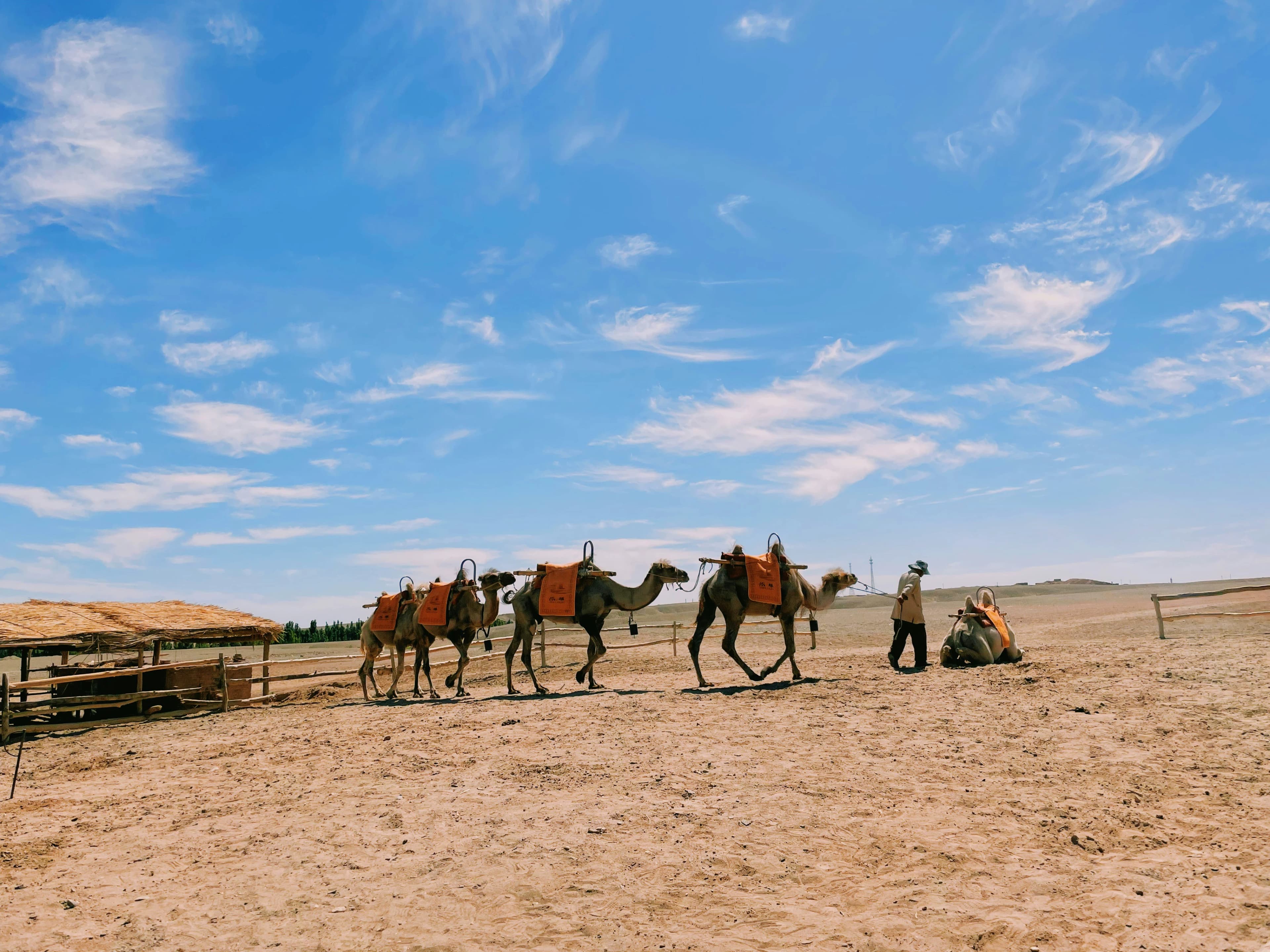 5 Days Family-Friendly Dunhuang Travel Guide: History, Culture & Budget Tips