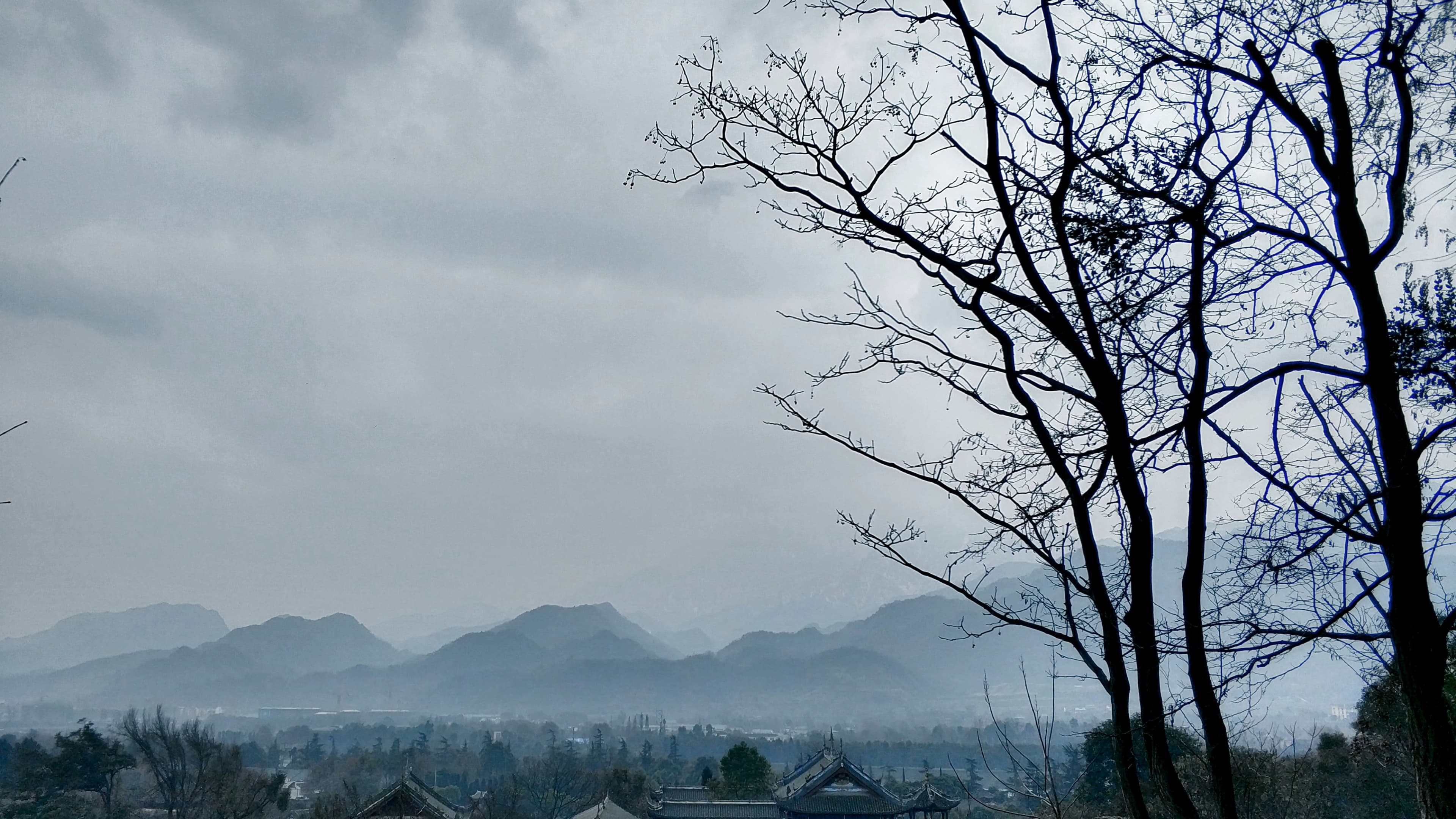 Ultimate Chengdu Luxury Travel Guide: 7 Days of Culture & Comfort