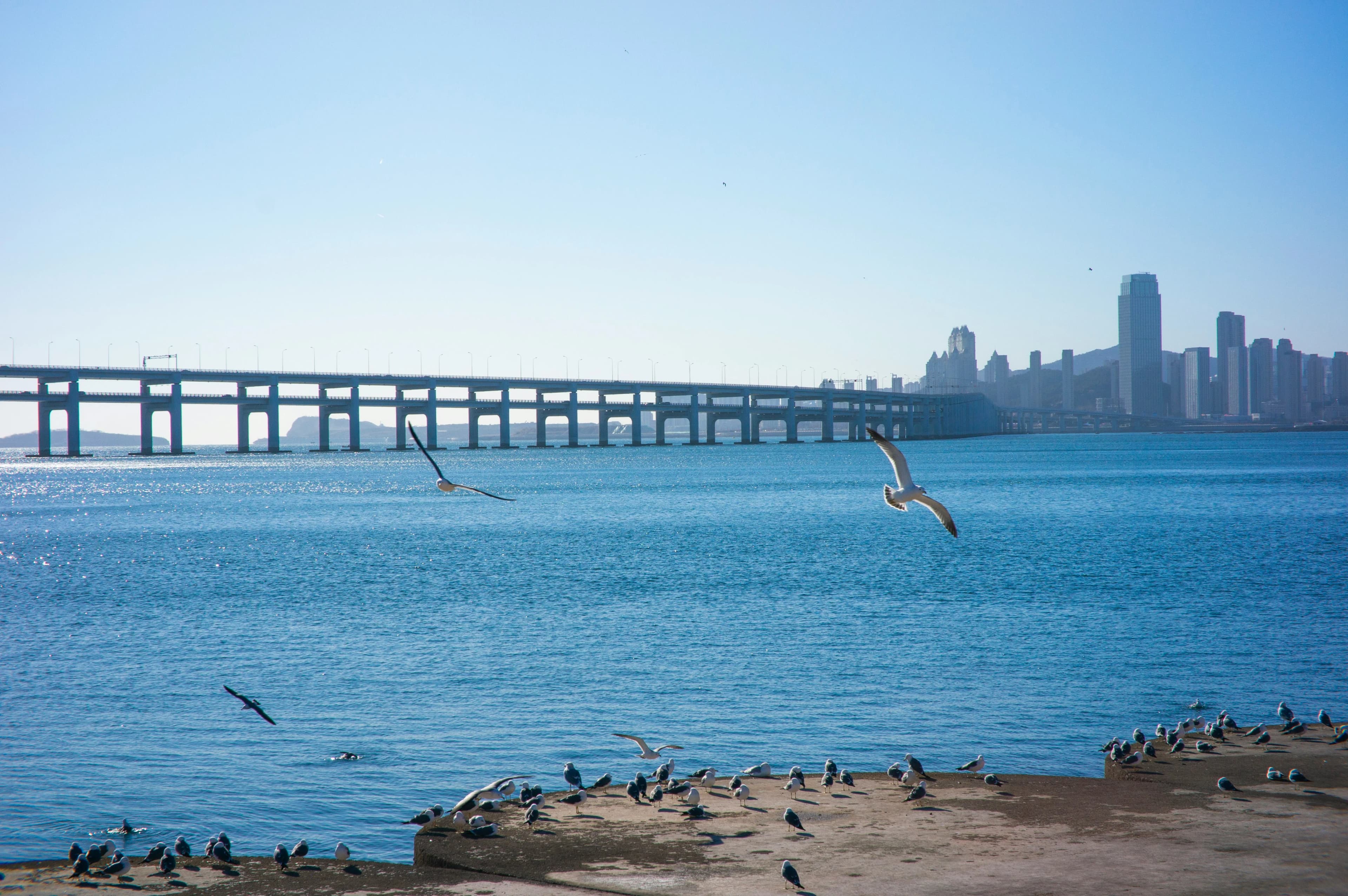 Romantic 3-Day Dalian Itinerary for Couples: Beaches, Seafood & City Lights