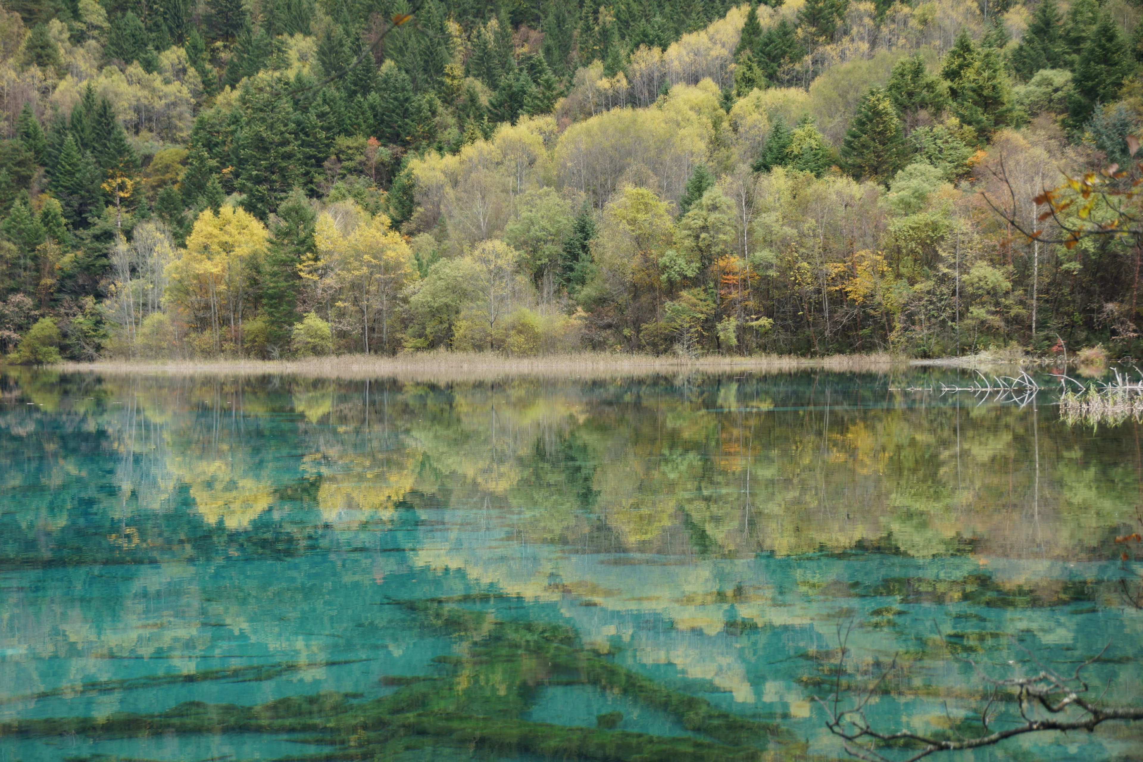 Romantic 5-Day Jiuzhaigou Itinerary for Couples: Hiking & Luxury Escapes