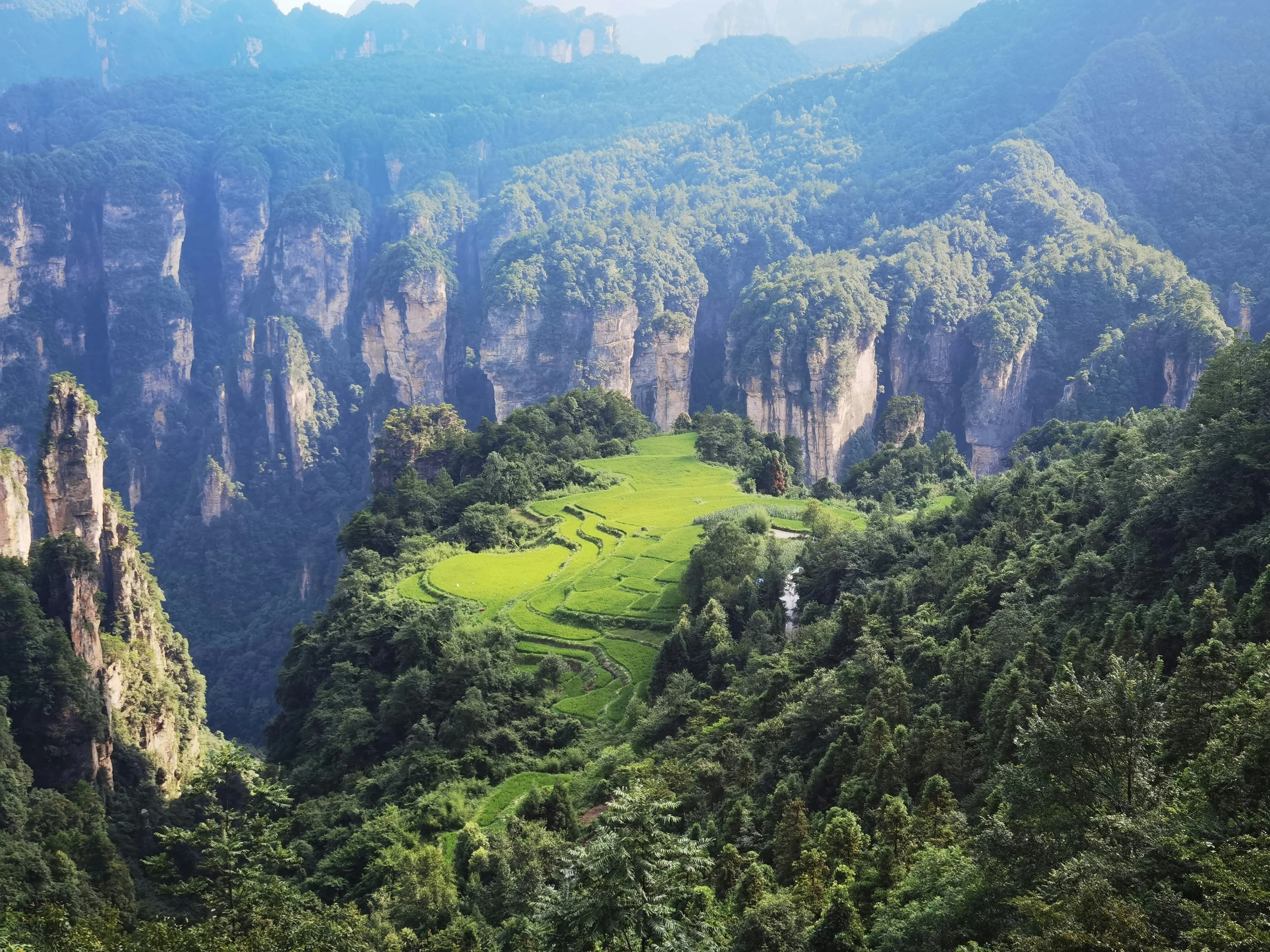 5-Day Solo Travel Guide to Zhangjiajie: Budget-Friendly Nature Exploration