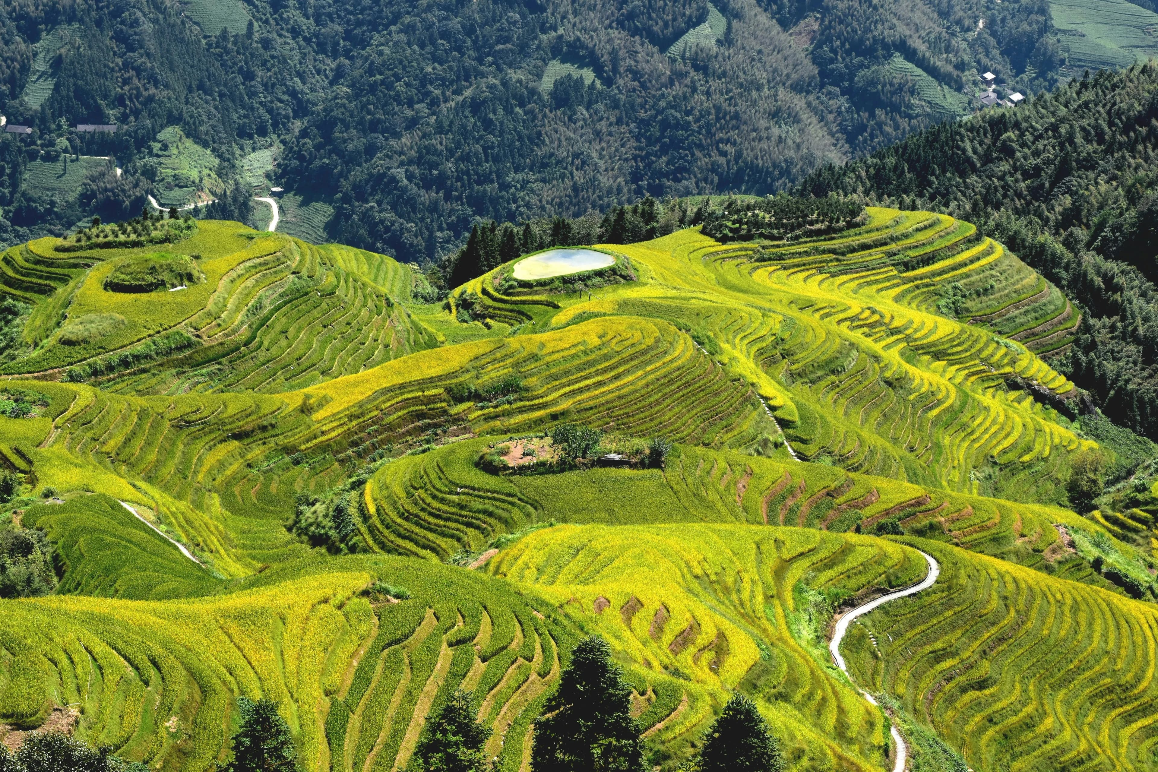 3-Day Luxury Guilin Itinerary for Couples: Romantic Escapes in Nature's Masterpiece
