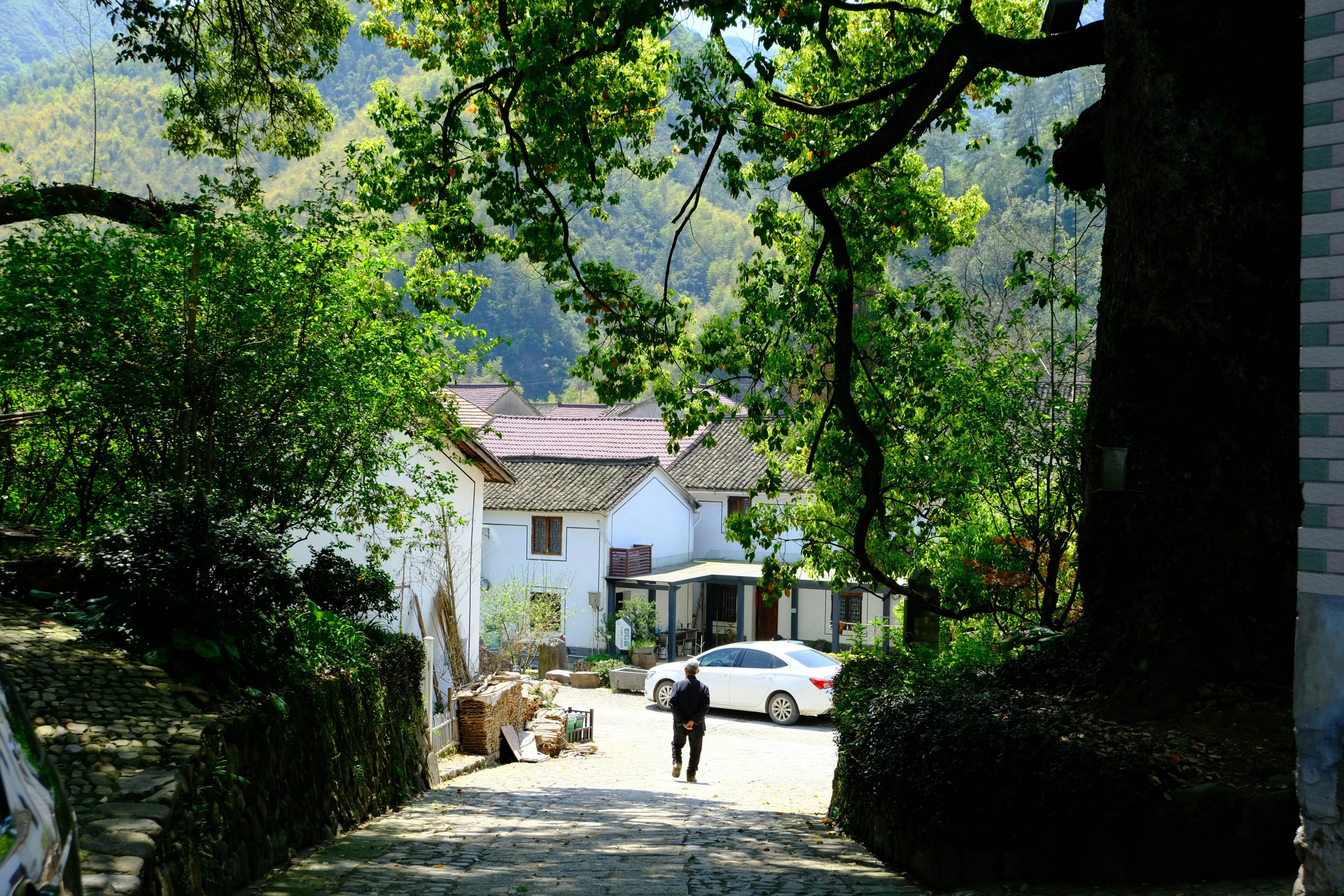 Ultimate 3-Day Budget Solo Travel Guide to Hangzhou