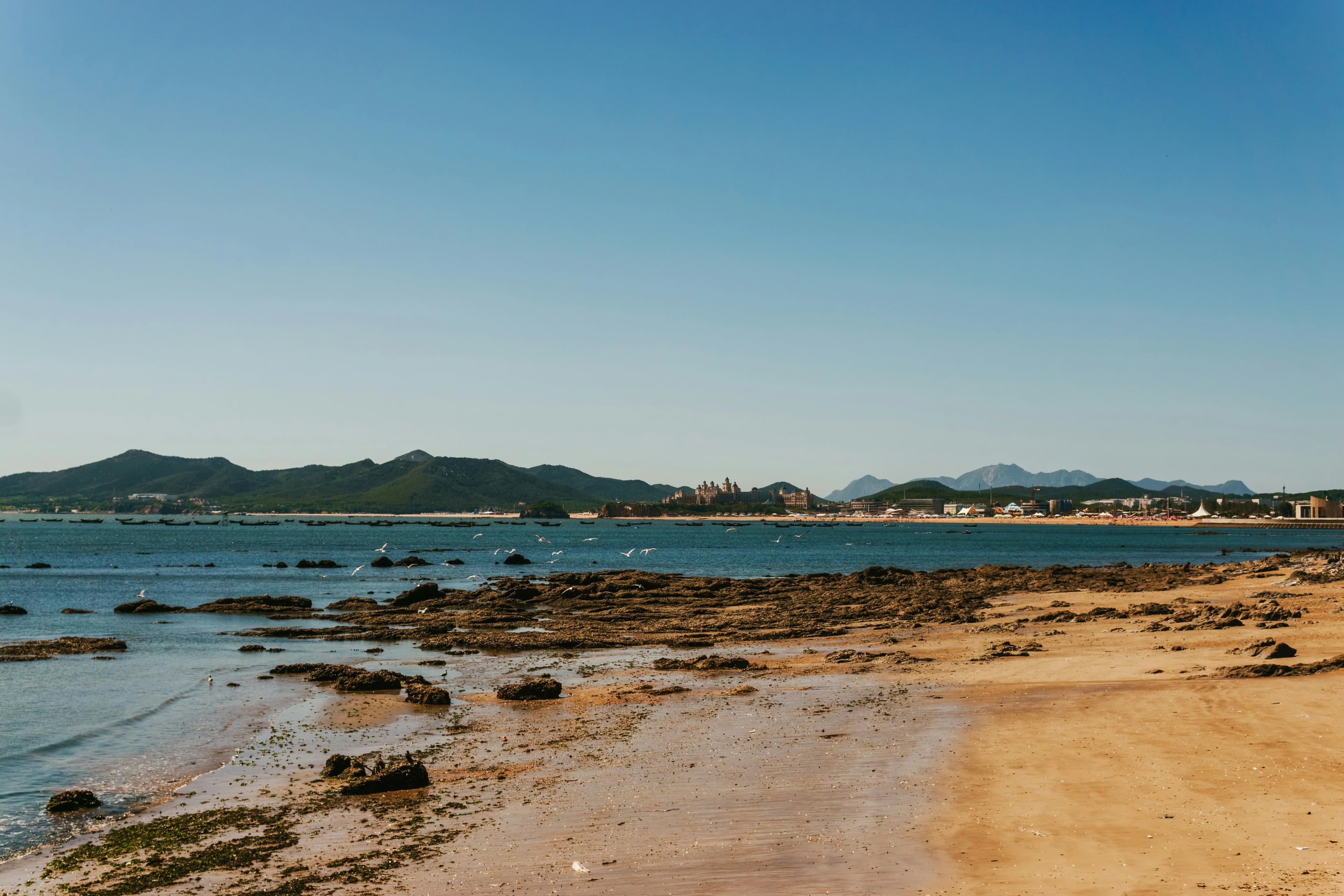 Ultimate 5-Day Luxury Family Travel Guide to Dalian