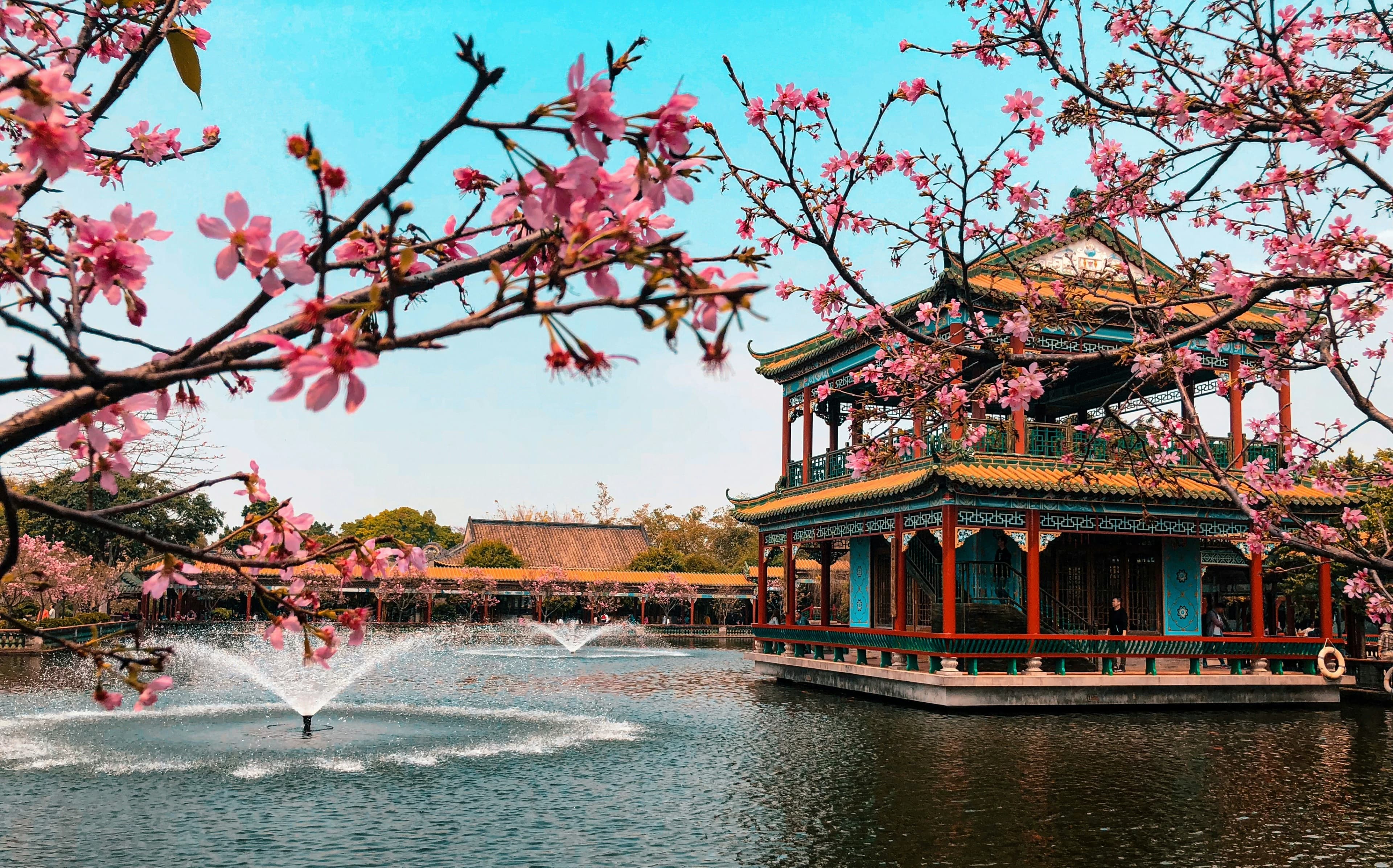 5-Day Guangzhou Solo Travel Itinerary for Culture & Food Lovers