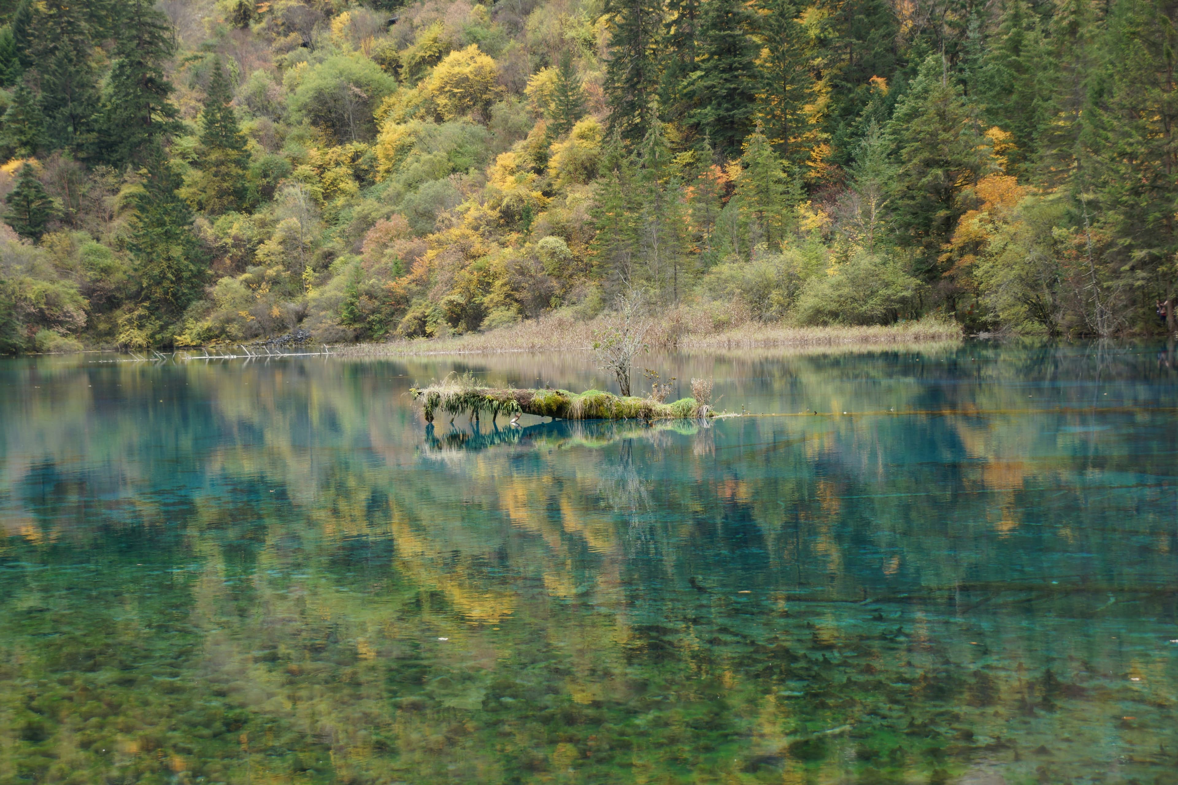 5-Day Family Adventure in Jiuzhaigou: Budget-Friendly Hiking & Hidden Gems