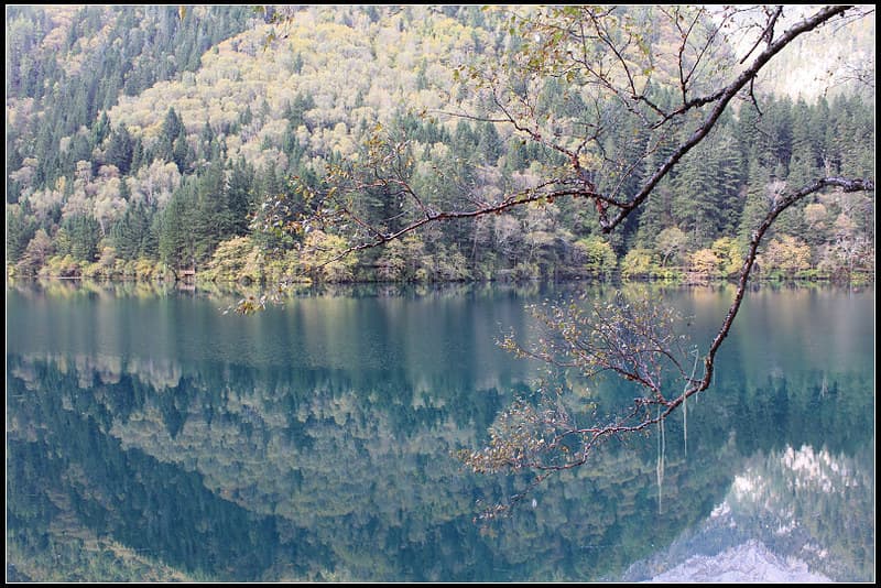 Jinghai, Jiuzhaigou | Mirror Lake This is not painting :) | Diasha ...