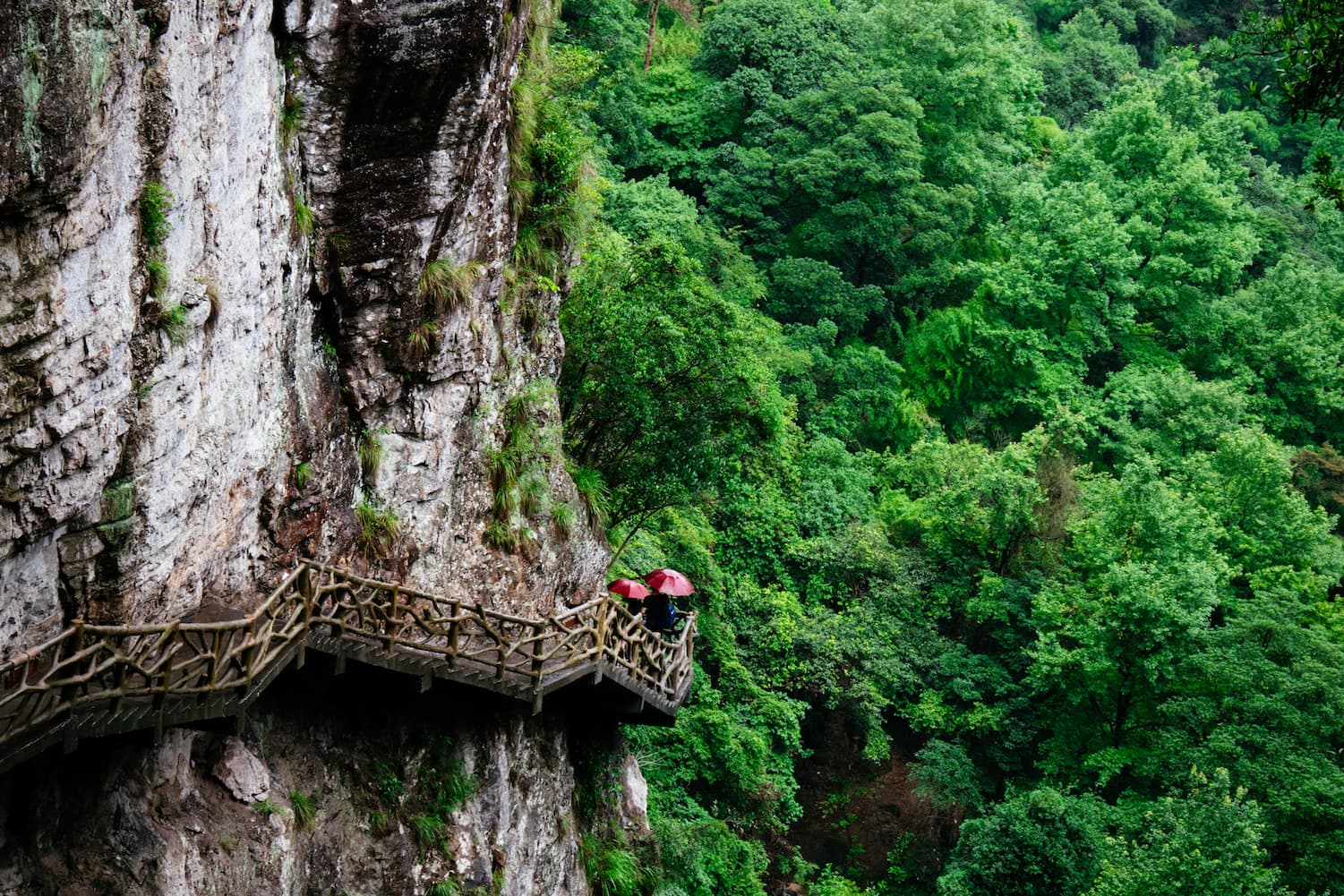 A trip to Yandang Mountain Geological Park, China - Ming Tang