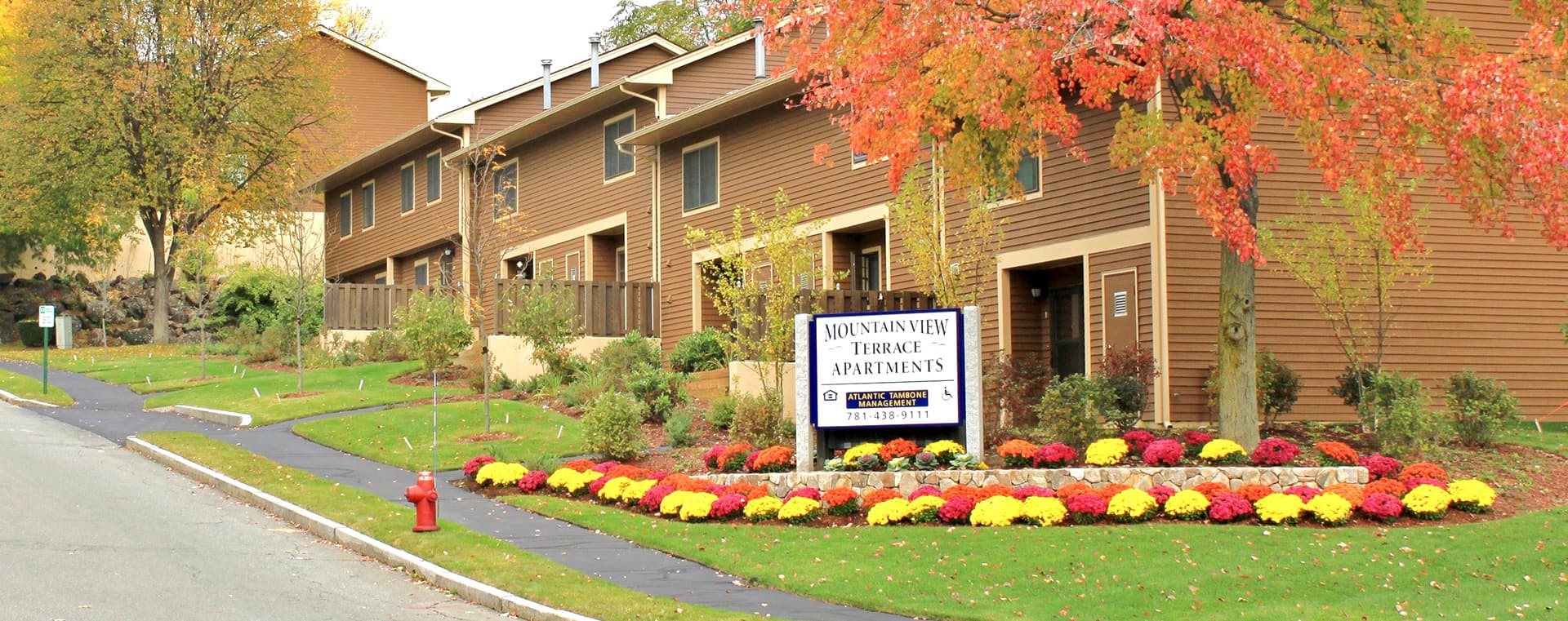 Mountain View Terrace