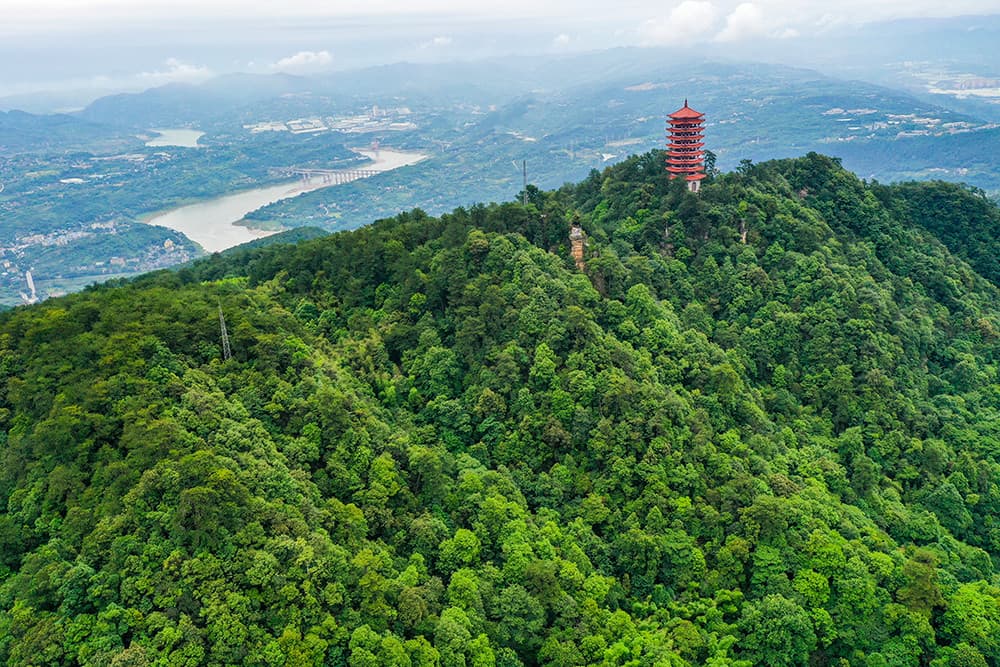 Jinyun Mountain: the Lung of Chongqing | ichongqing