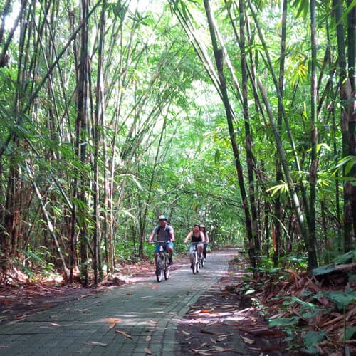 Itinerary Bamboo Forest Cycling - Different Bali Cycling - Riding ...