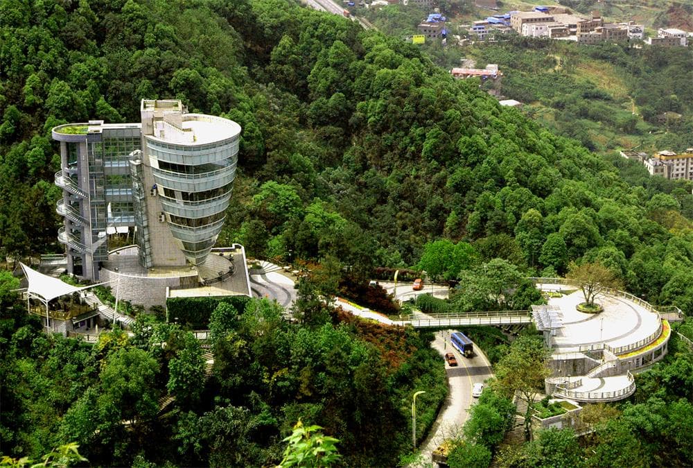 一棵树观景园- 重庆市南岸区人民政府网