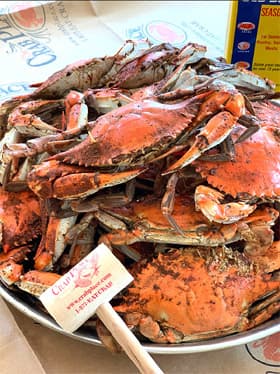 The Crab Place® - Carrying the Top 10% of the World's Seafood ...