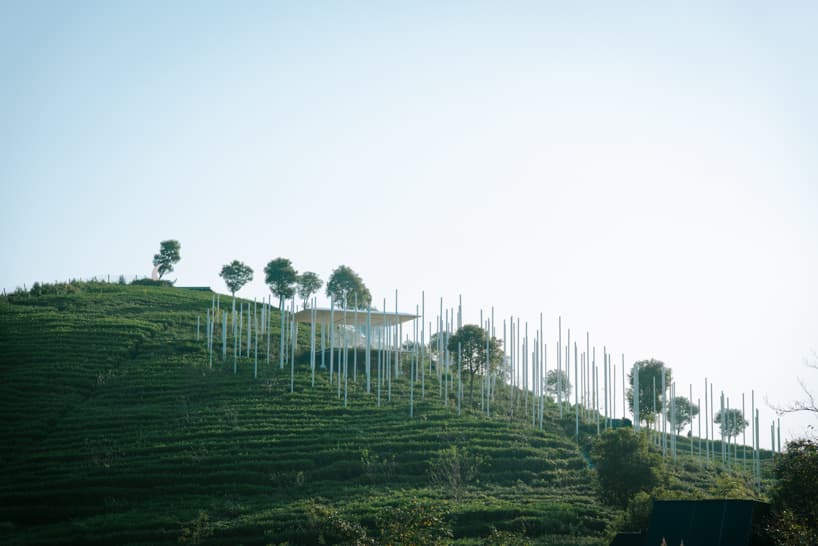 cloud tea room emerges from chinese hillside along with white ...