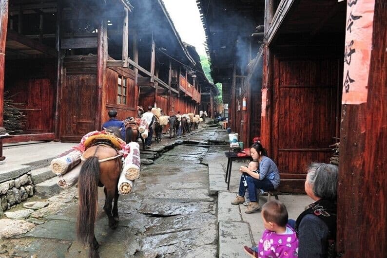 The Ancient Tea Horse Caravan ,Yunnan Adventure Travel